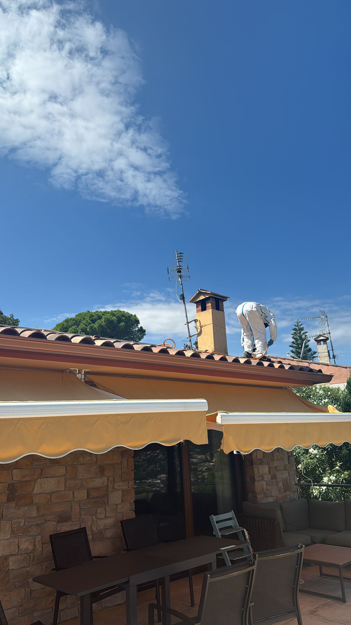 Professionele ongediertebestrijding