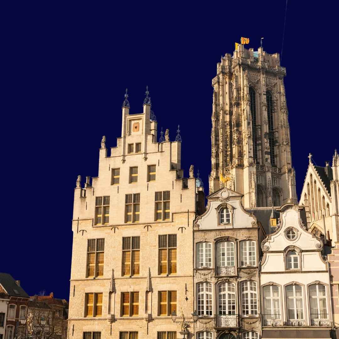 Mechelen - Actief in heel België